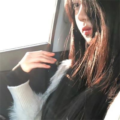 特禽鲨龙